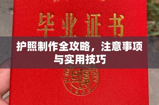 王益护照制作全攻略，注意事项与实用技巧