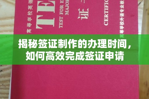 王益揭秘签证制作的办理时间，如何高效完成签证申请