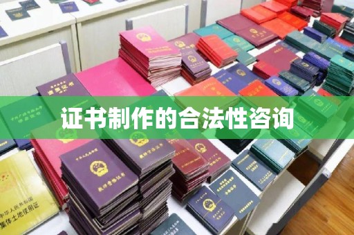 王益证书制作的合法性咨询