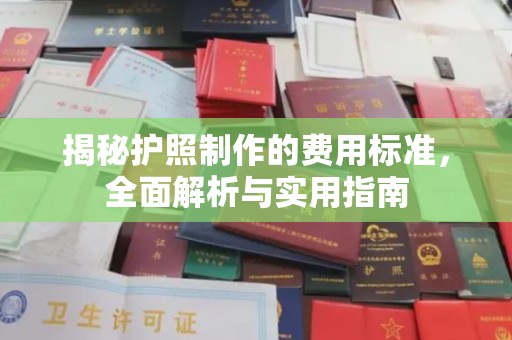 王益揭秘护照制作的费用标准，全面解析与实用指南