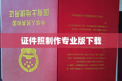 王益证件照制作专业版下载