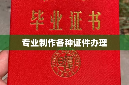 王益专业制作各种证件办理