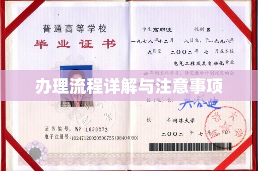 王益办理流程详解与注意事项